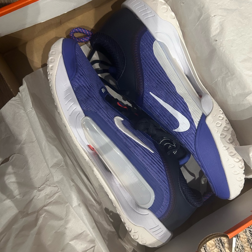 Nike Zoom Court NXT tennis shoes